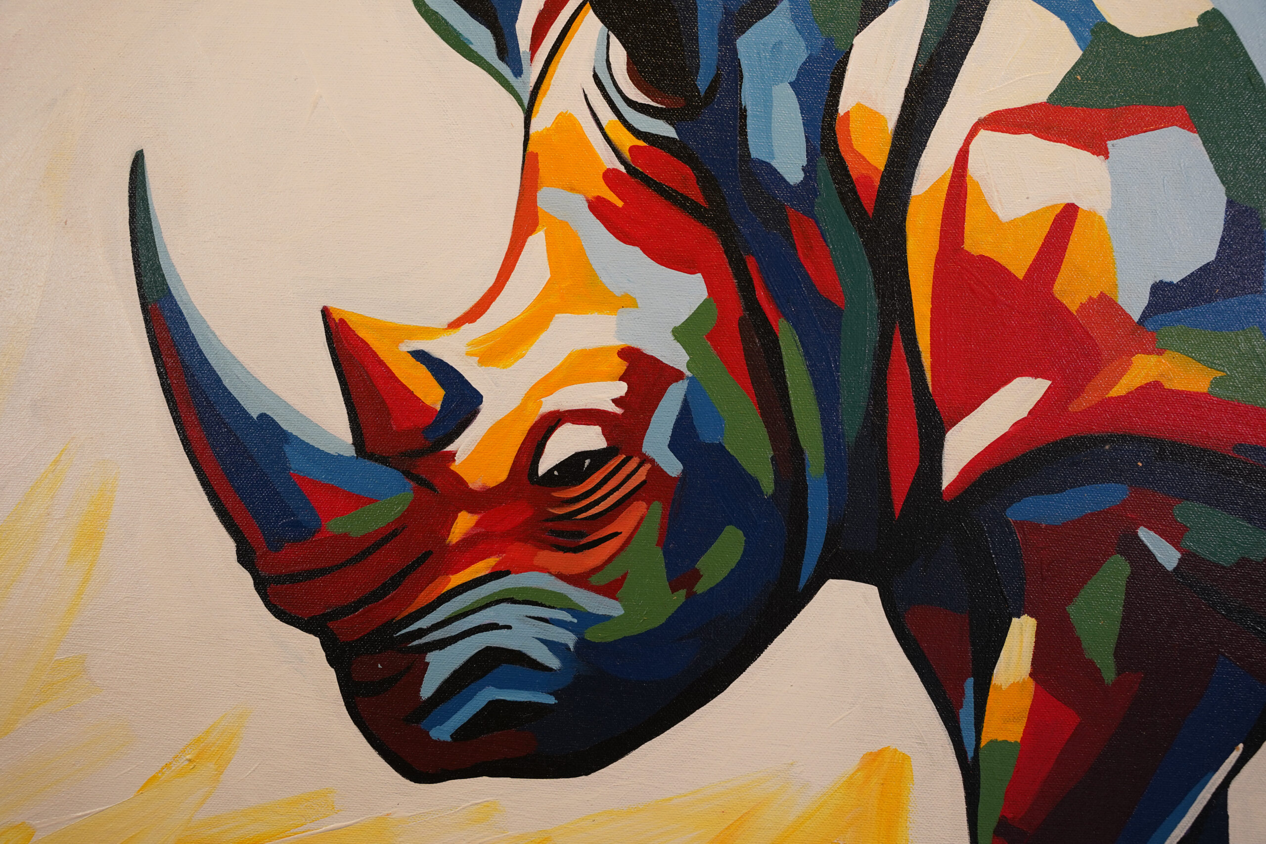 Colorful rhino (3)