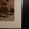 img art Beauty amidst chaos 3