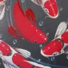 img art Fish memories in motion 1