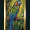 img art Guardian of the rainforest 1 2