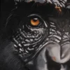 img art Majesty in the gaze 1